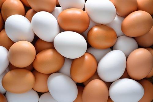 صور - ما هي فوائد البيض واضراره الصحية ؟