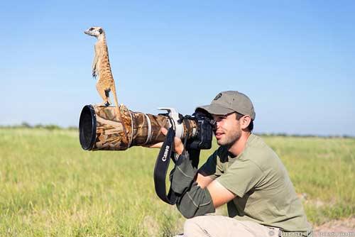 صور - صور حيوانات طريفة ومضحكة مع مصوري البرية