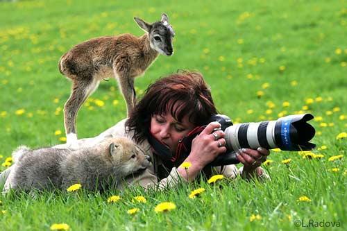 صور - صور حيوانات طريفة ومضحكة مع مصوري البرية