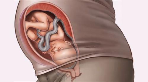 صور - تطورات الحمل في الشهر التاسع بدءا من الاسبوع 35 الي الـ 40
