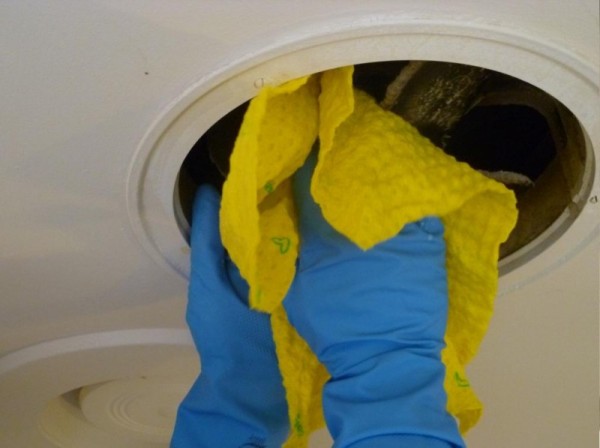 صور - كيفية تنظيف الحمام من عفن السقف ؟