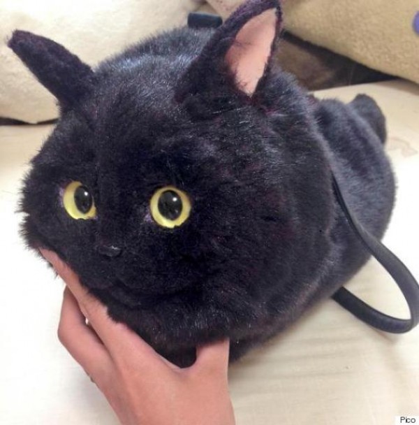 صور - موضة حقائب القطط اليابانية الغريبة