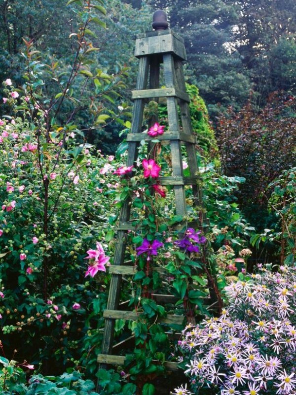صور - افضل طريقة لزيادة الازهار فى الحدائق المنزلية