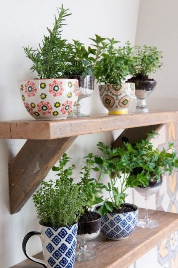 صور - نصائح مفيدة عن تسريع نمو النبات داخل منزلك