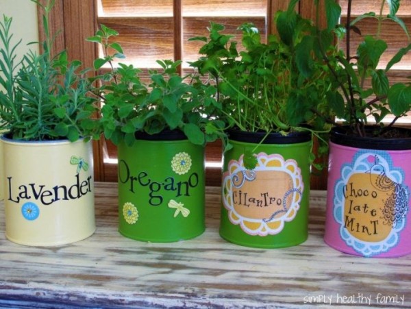 صور - نصائح مفيدة عن تسريع نمو النبات داخل منزلك