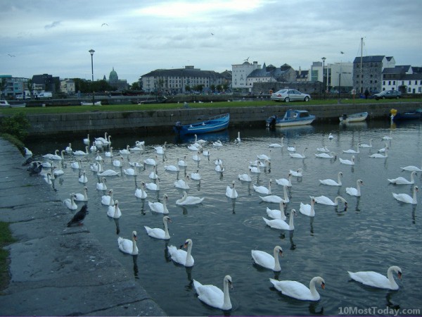صور - اشهر 10 اماكن سياحية في ايرلندا بالصور