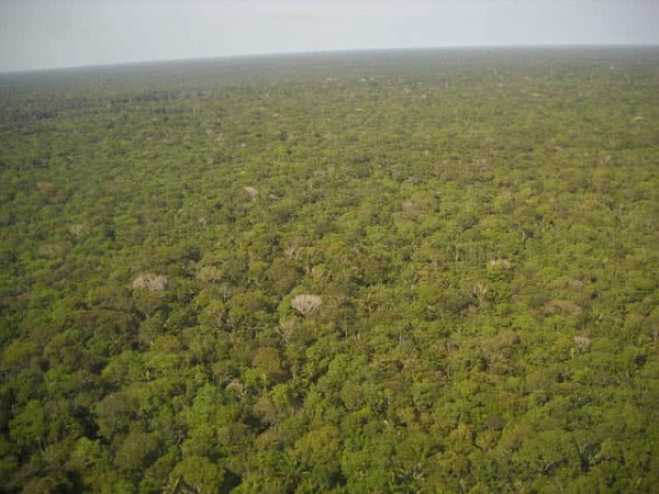 غابات الأمازون المطيرة من اكثر اماكن غامضة في العالم
