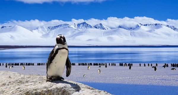 أنتاركتيكا من اكثر اماكن غامضة في العالم