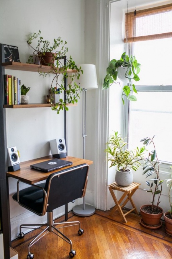 اضافة النباتات الخضراء للاحساس بالراحة والهدوء فى غرفة المكتب