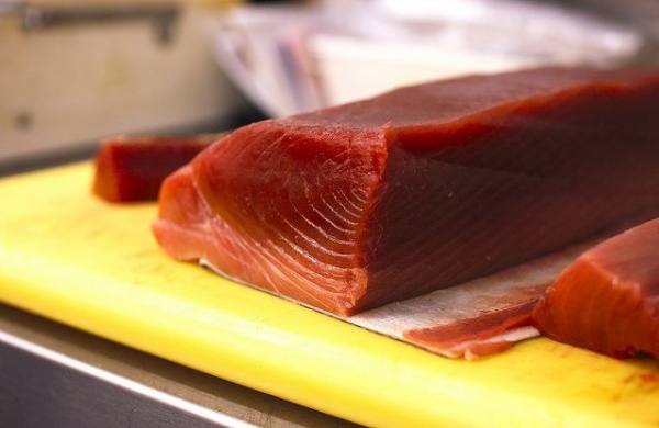 سمك التونة ذو الزعانف الزرقاء Bluefin-tuna_2095_3_1520250030